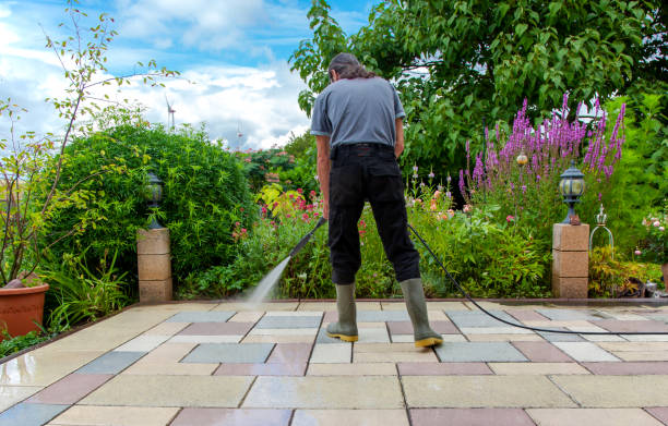 Best Fence Cleaning  in Dodson Branch, TN